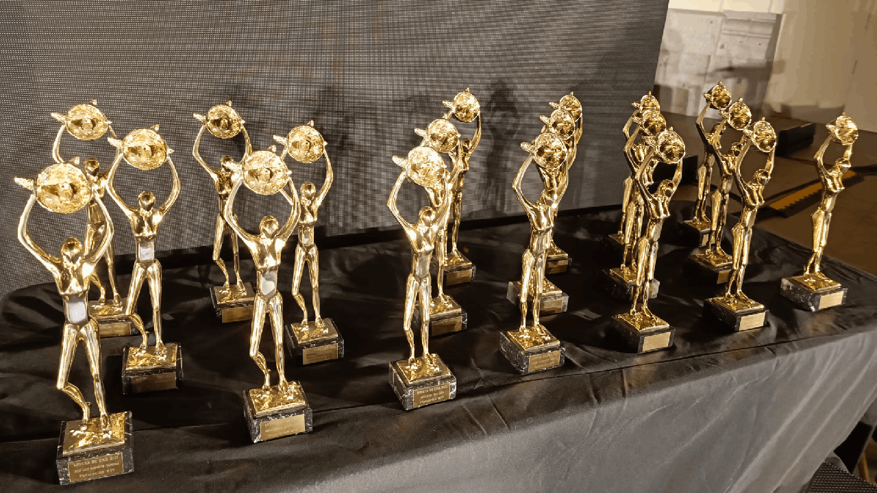 Premio Antena Empresarial Antenas Oro 2024